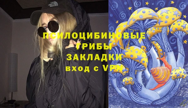 тгк Осташков